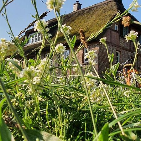 Apartment Freterg Holt, Naehe Binz In Traumhafter Alleinlage, Beirau & Beirau Gbr Zirkow Kültér fotó